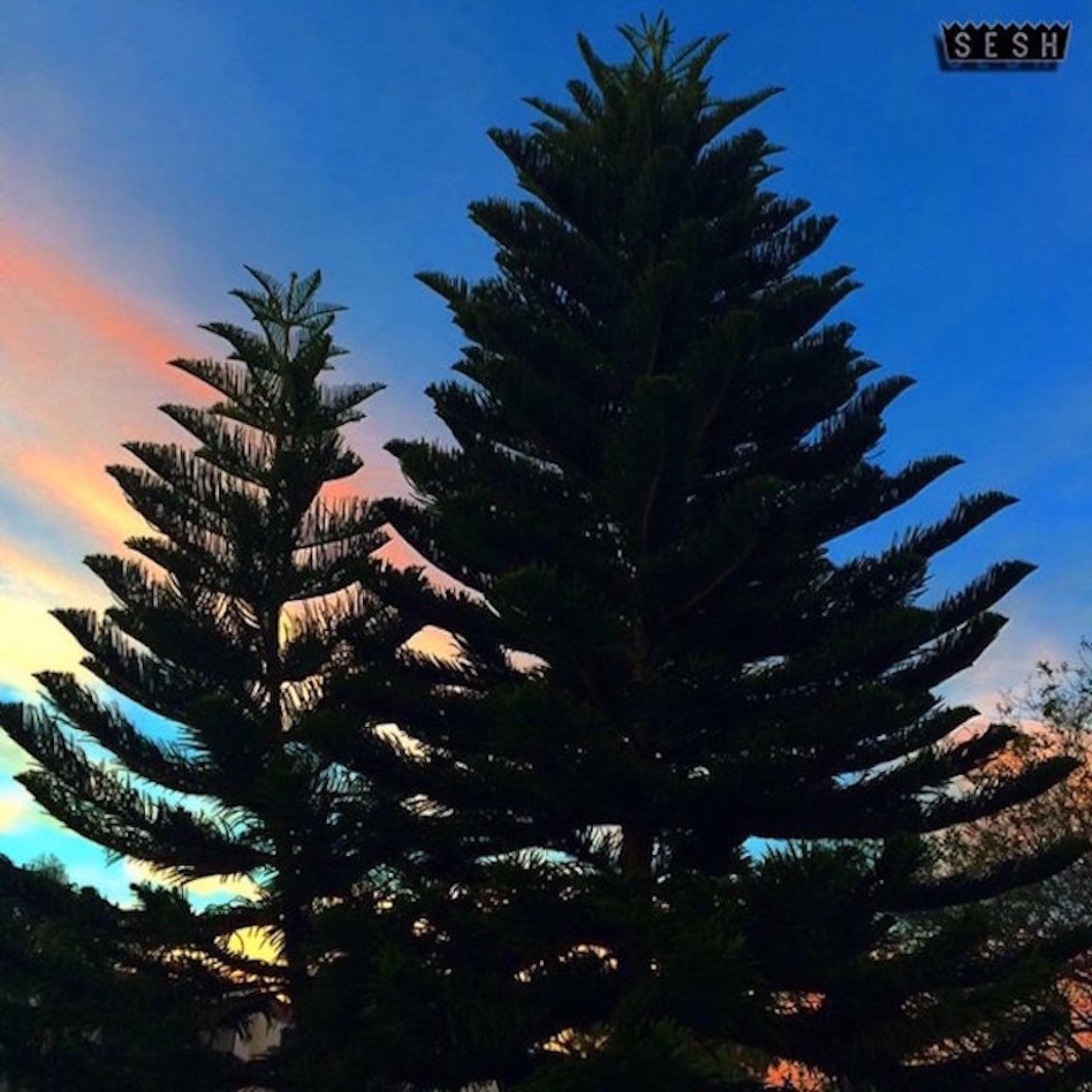 Andelon (feat. Rozz Dyliams)