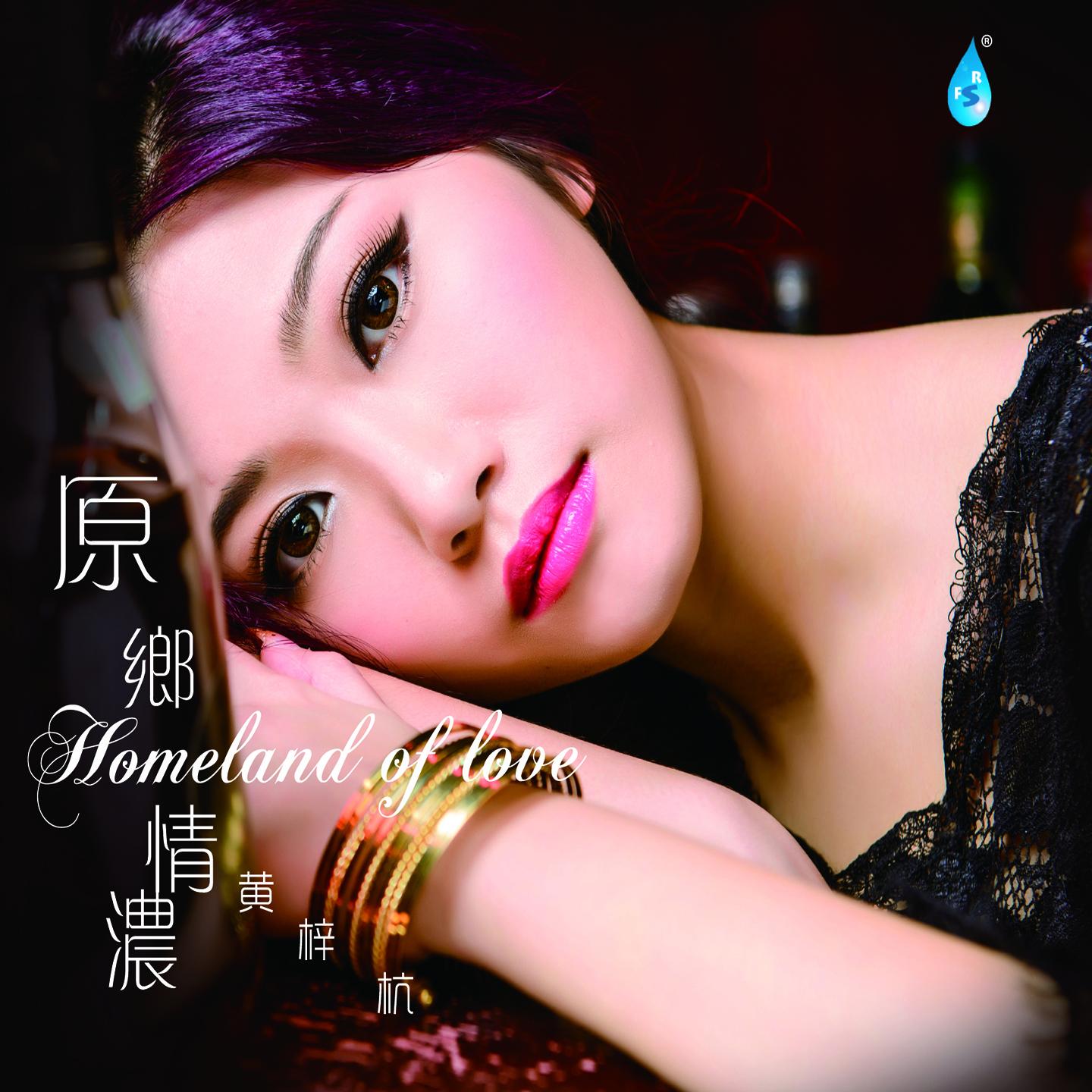 使爱情更美丽封面