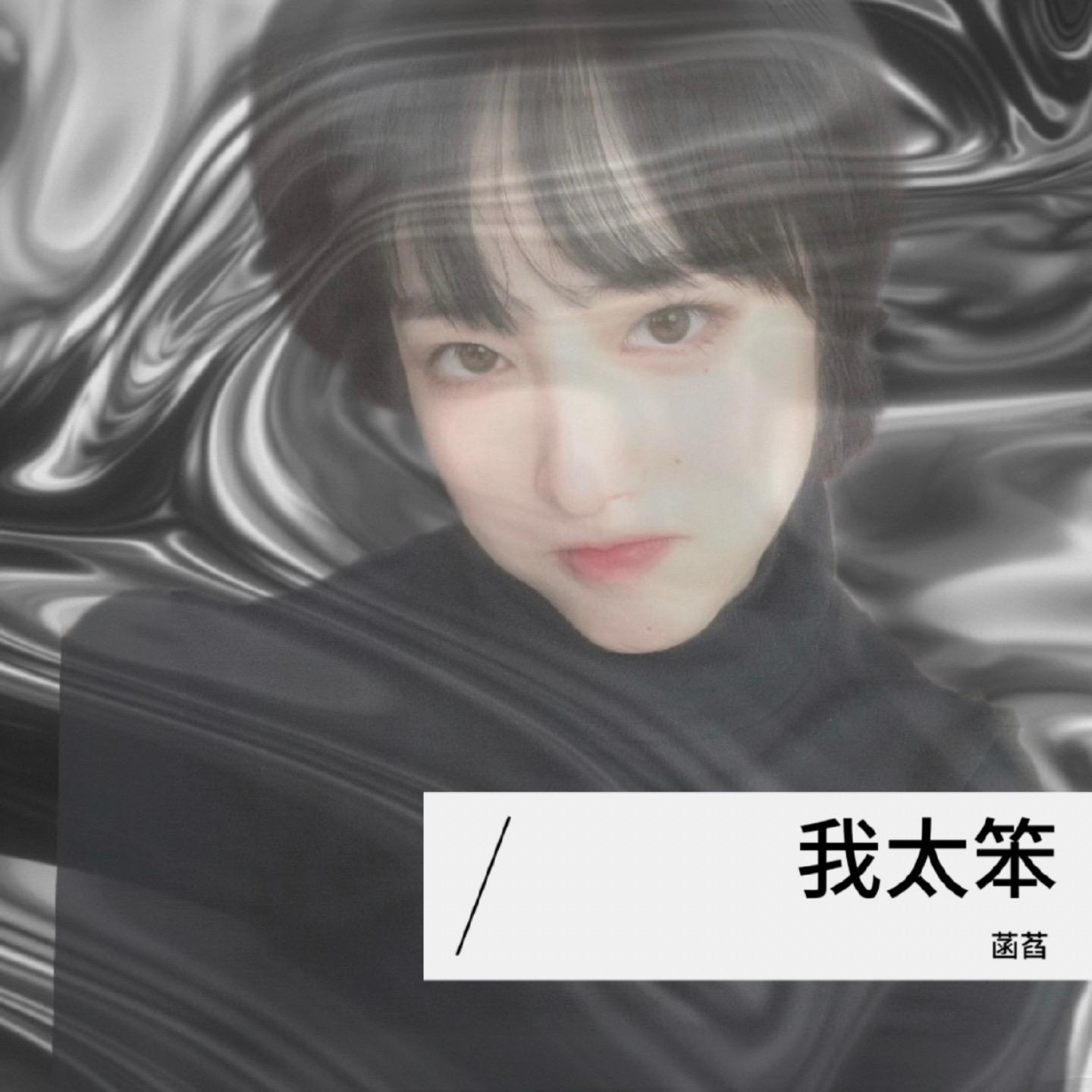 我太笨封面