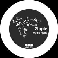 Magic Plant
