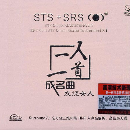 飘摇封面