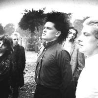 Virgin Prunes