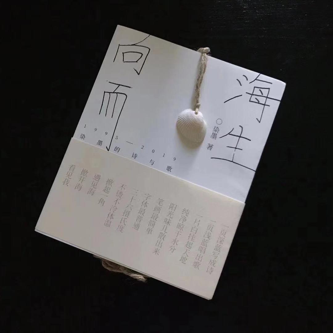 向海而生封面