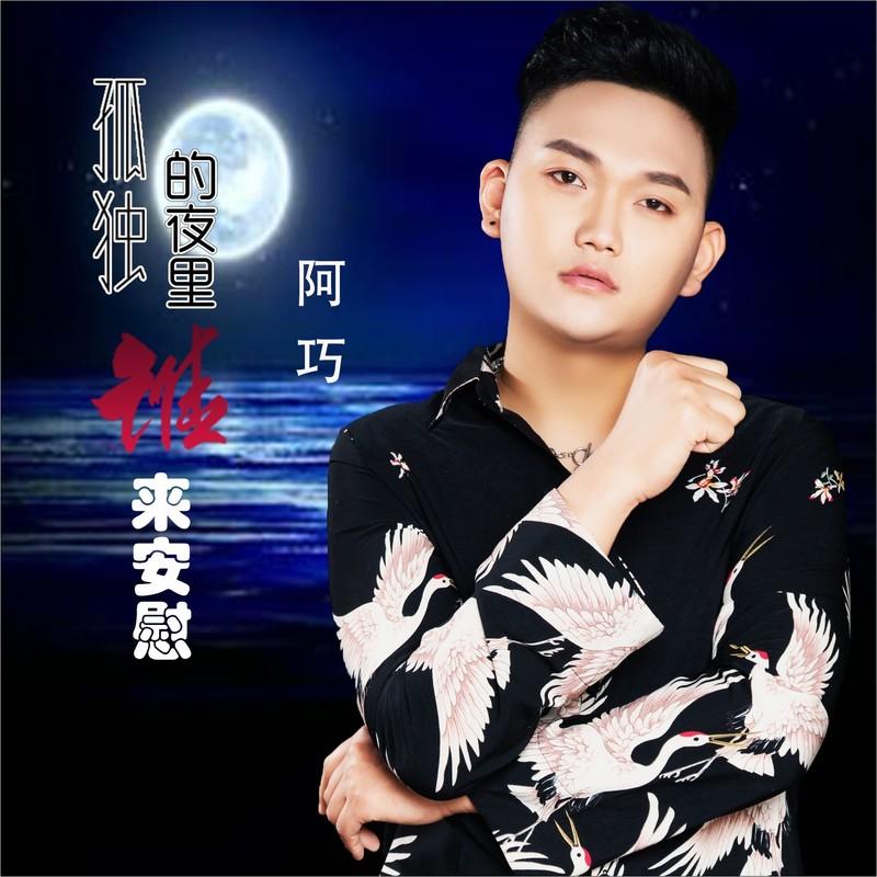 孤独的夜里谁来安慰 (DJ何鹏版伴奏)封面
