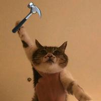 Mr.跳舞的猫咪
