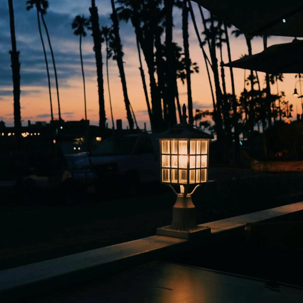 散步｜陪伴｜慵懒｜松弛感｜生活里的小治愈