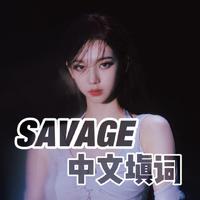 SAVAGE中文填词