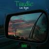 TURDLE - Late Night