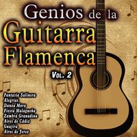 Genios de la Guitarra Flamenca, Vol. 2