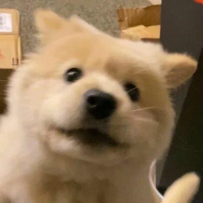 热门歌曲评论1w+（国语）