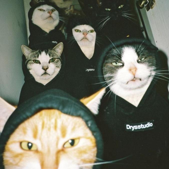 【2025六月新歌】不错的说唱