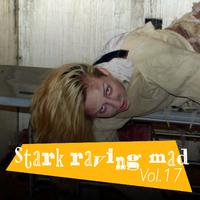 Stark Raving Mad, Vol. 17