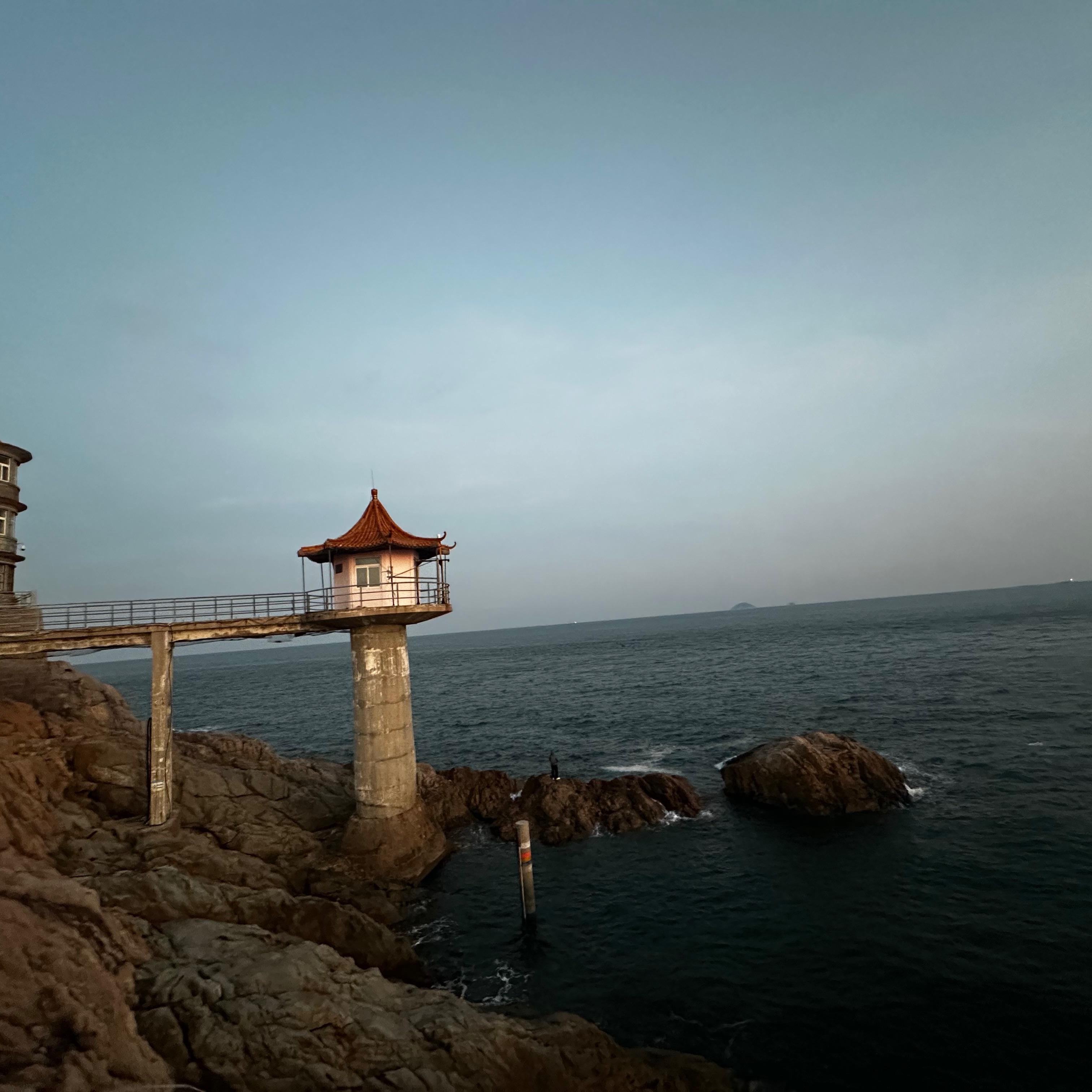 她只想看风景封面