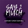Flamezee - Say 2 Much