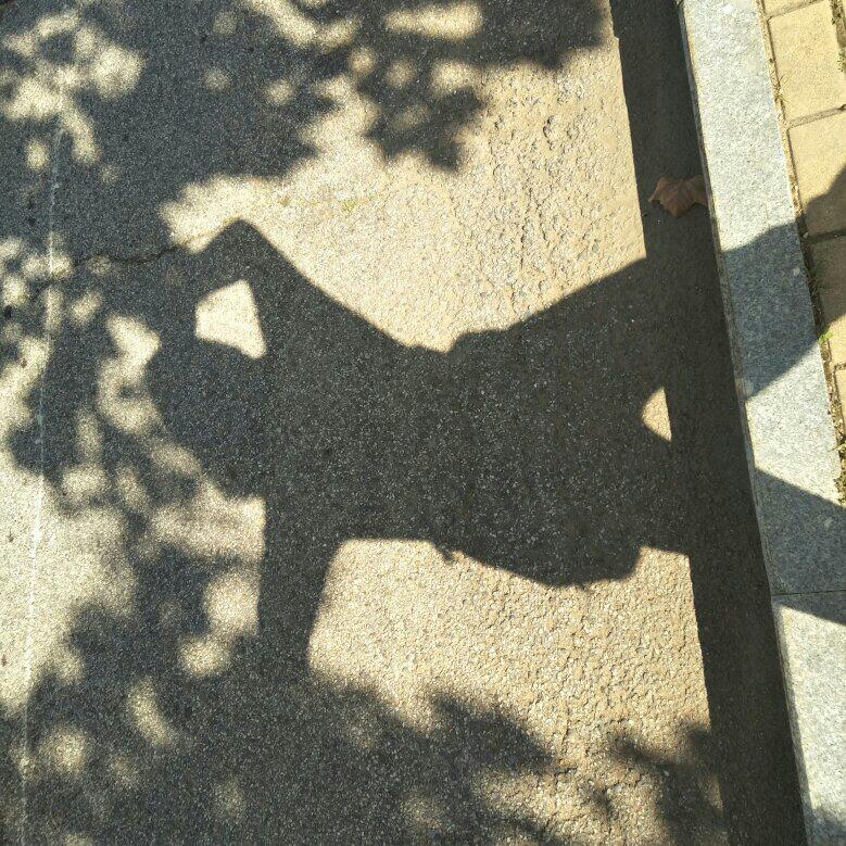 -攒一身小可爱-