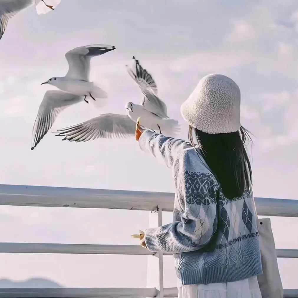 星光降落的阳台 - Elowen榆十七封面