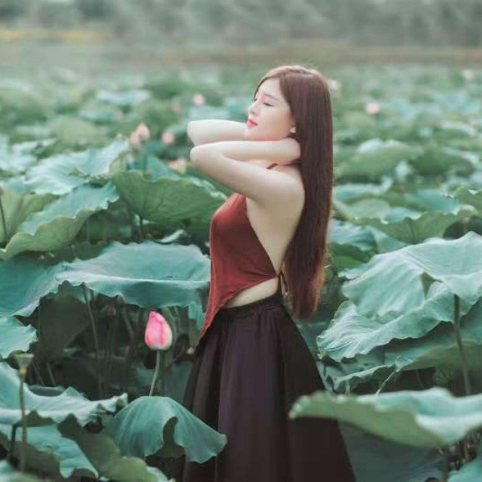 回眸一笑封面