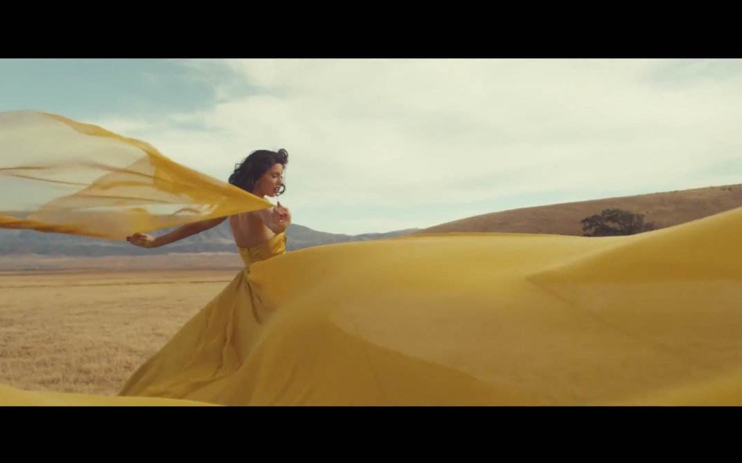 Wildest Dreams & Enchanted（翻自 Taylor Swift）