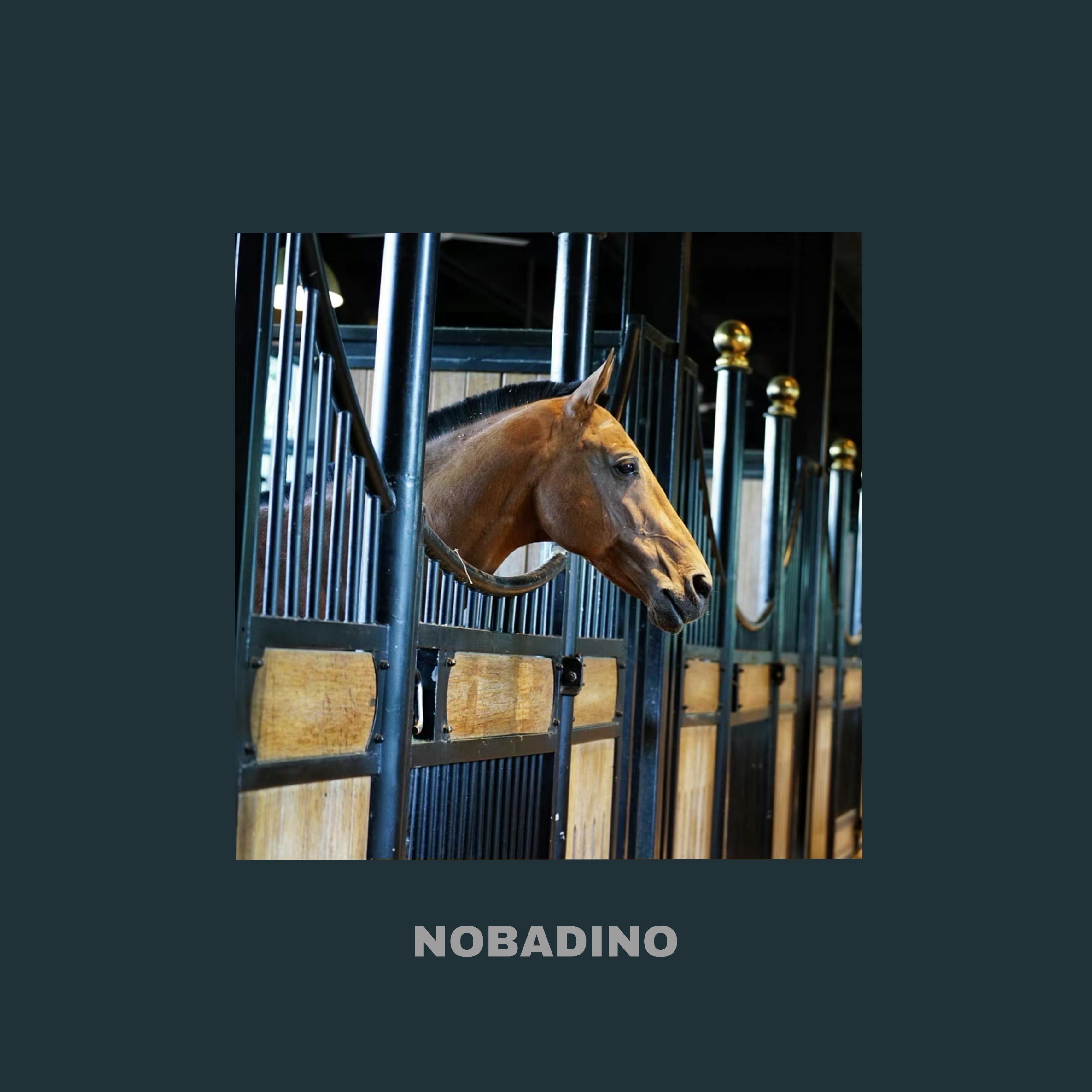 【FREE】汗血宝马 (PROD BY NOBADINO)