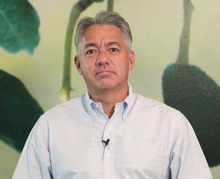 Mario Pacheco