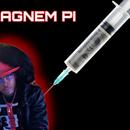 Magnem P.I.