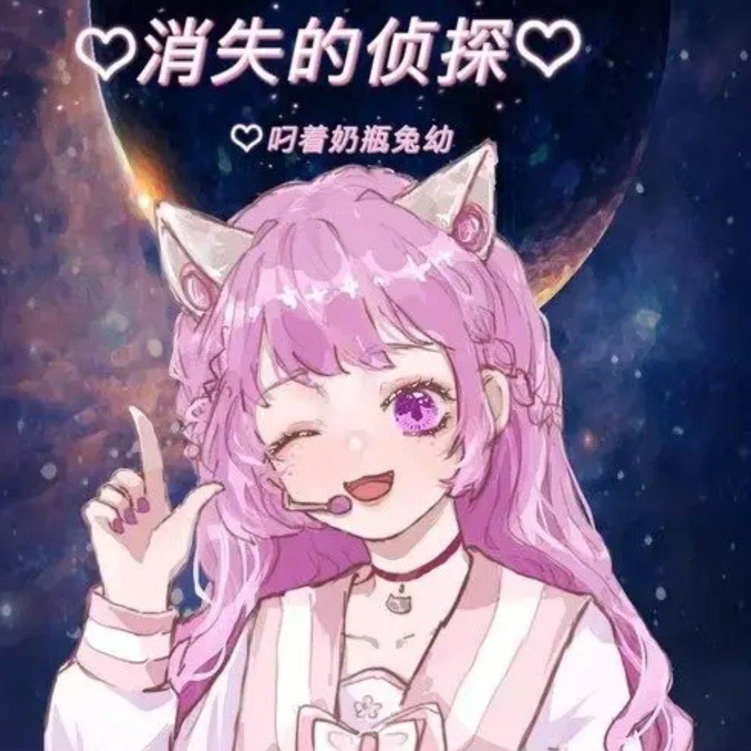 消失的侦探封面