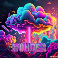 WONDER