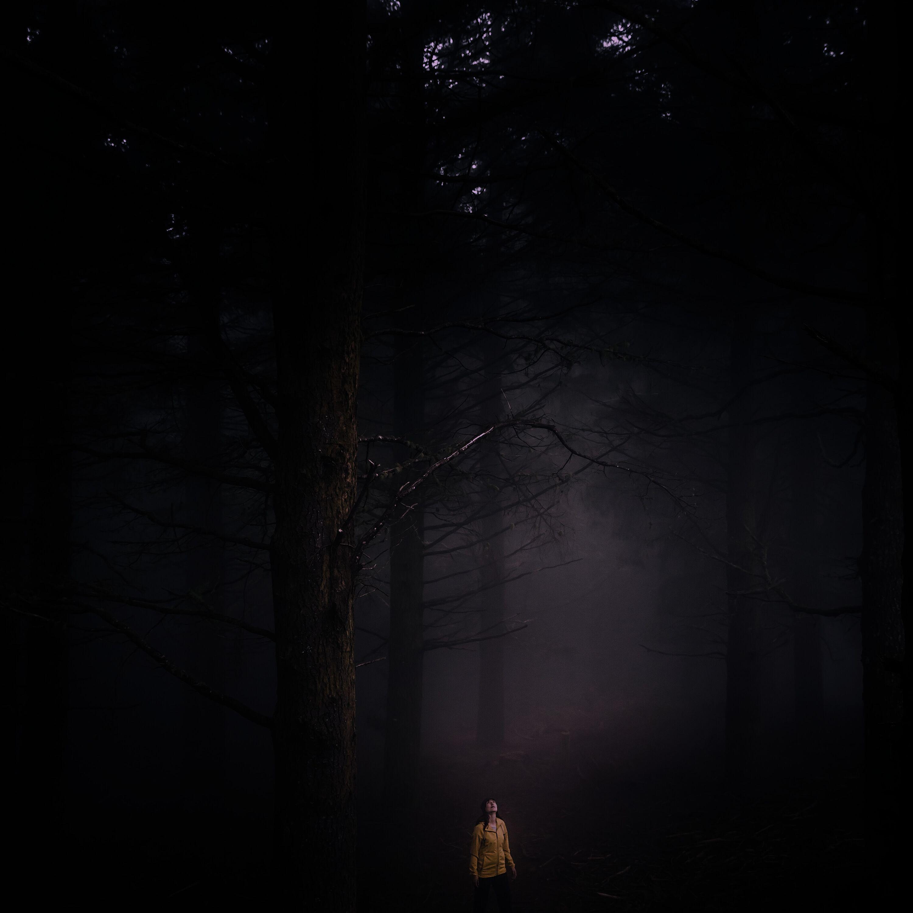 Whispering Autumn River Trail