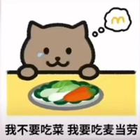 悲伤剧情胖猫（宿命间奏）