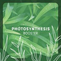 Photosynthesis Booster: Music for Houseplants (Night Growth)