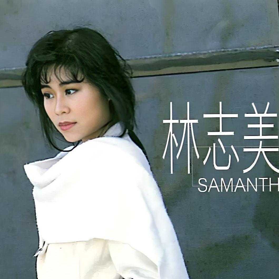 林志美-月影（DJ-AYU Remix）