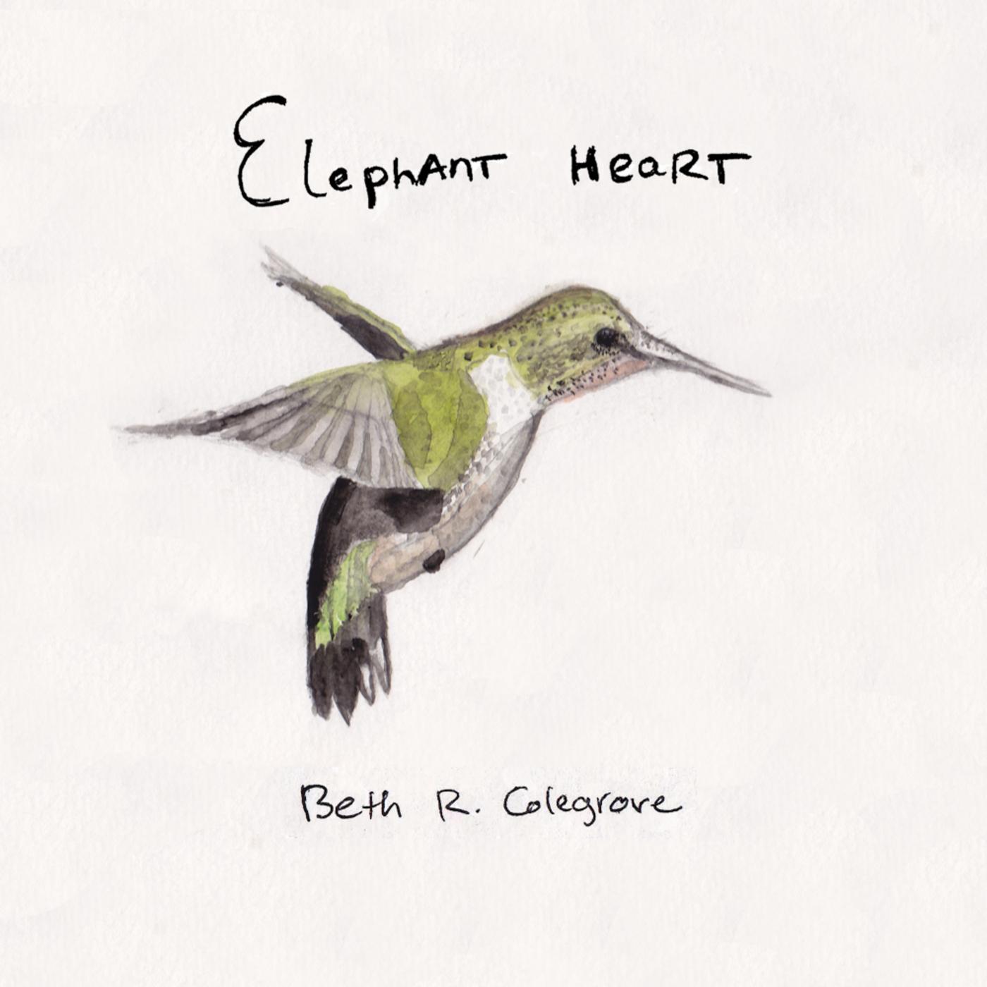 Mr. Scheifflin's Starling