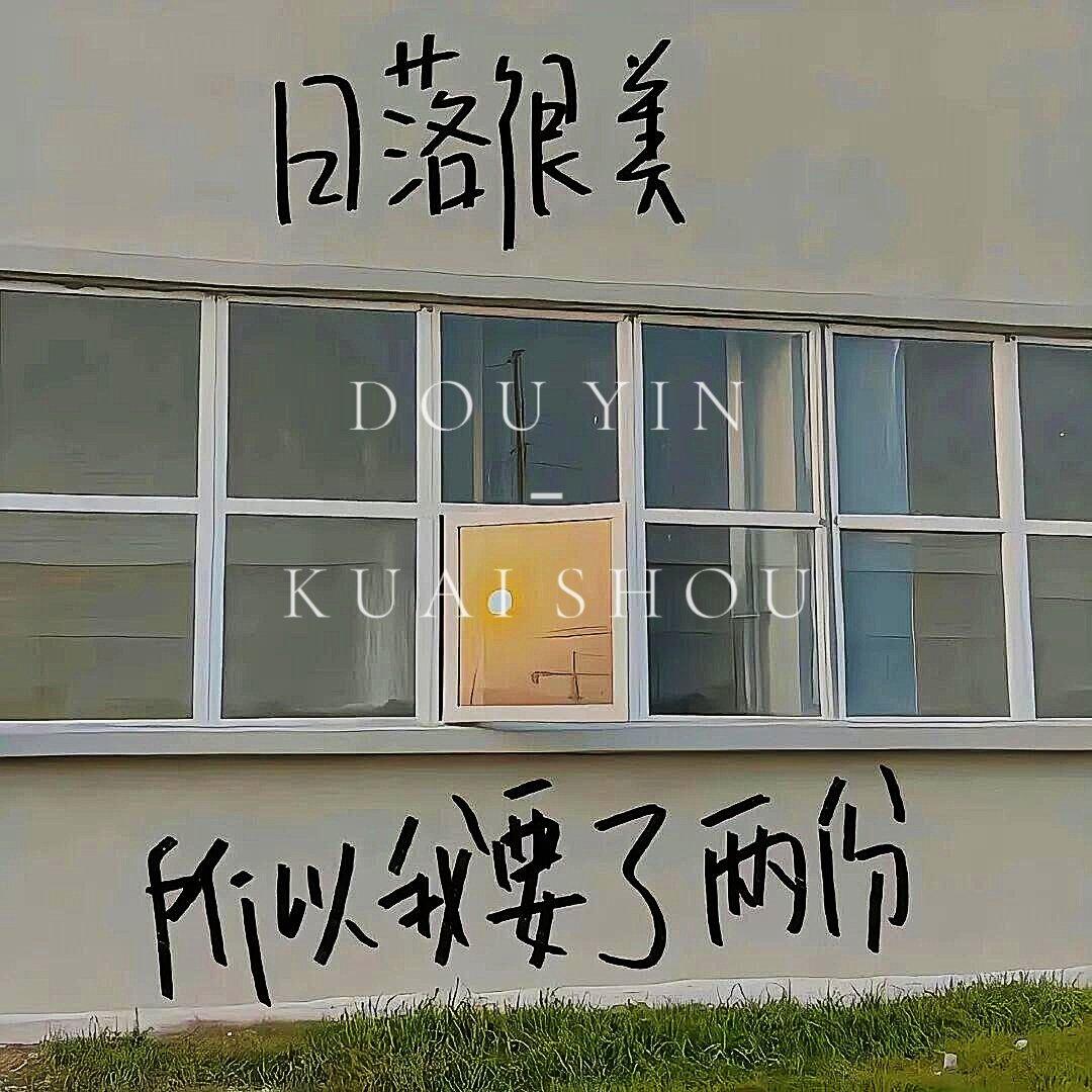 你的理想型封面