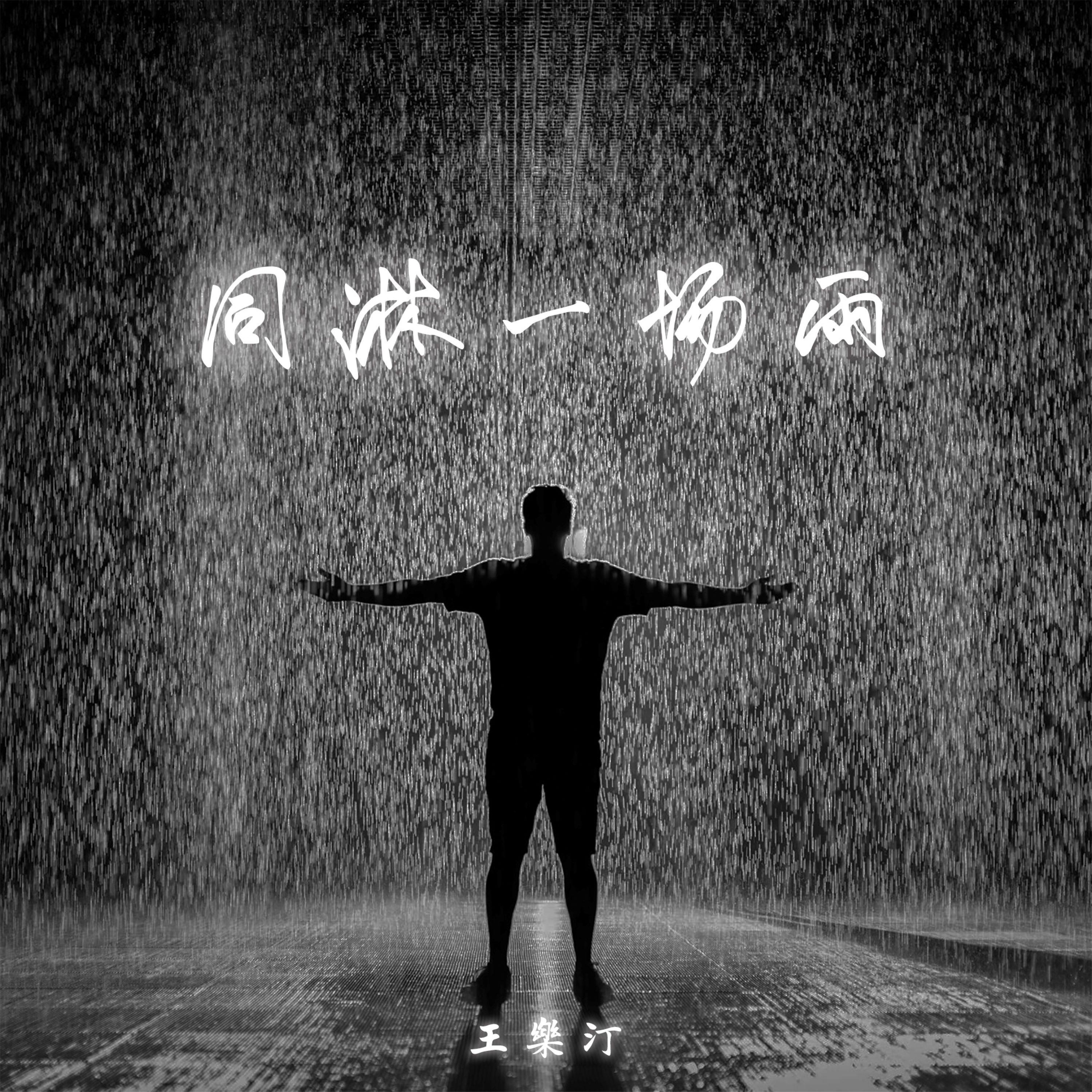 同淋一场雨 (伴奏版) - 王乐汀封面