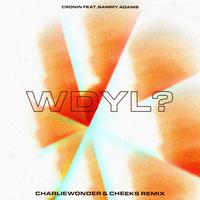 WDYL? (feat. Sammy Adams) [CharlieWonder & CHEEKS Remix]