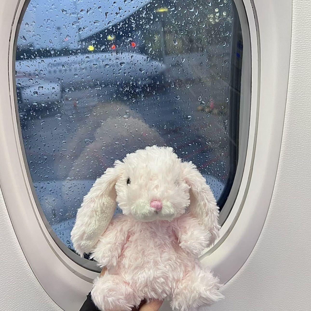 总之这世界是忧郁的泉