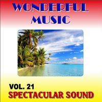 Wonderful Music Vol. 21 Spectacular Sound