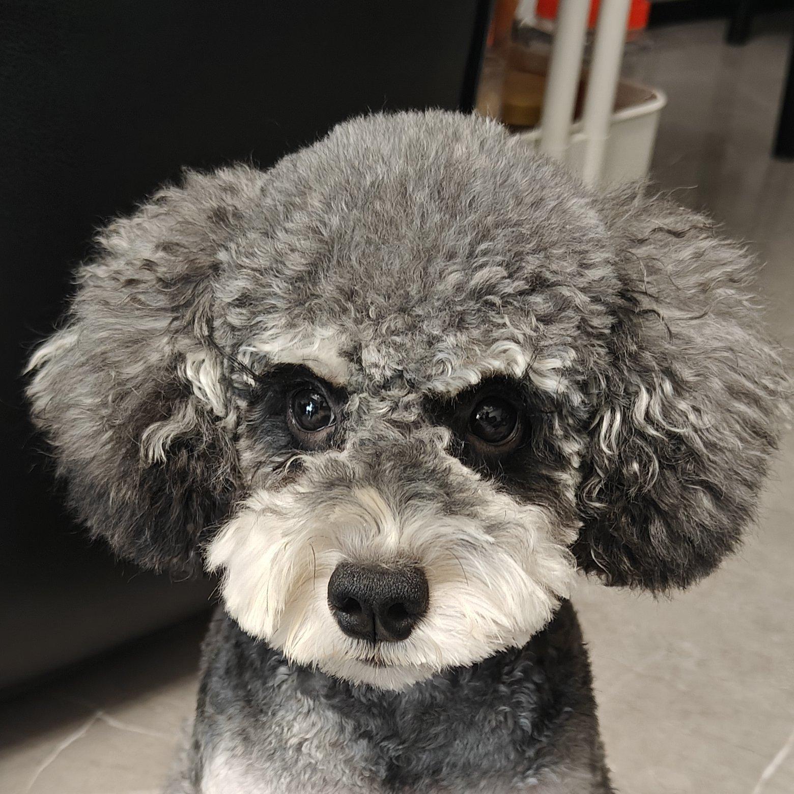 噜啦啦噜啦啦噜啦噜啦雷1