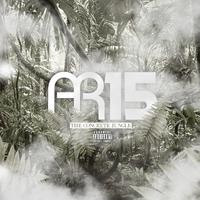 AR15 - Concrete Jungle