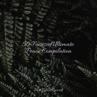 ASMR HD - Blushing Melodies of Love