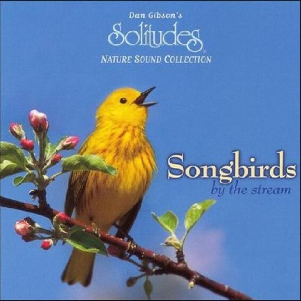 Dan Gibson-Solitudes Sampler