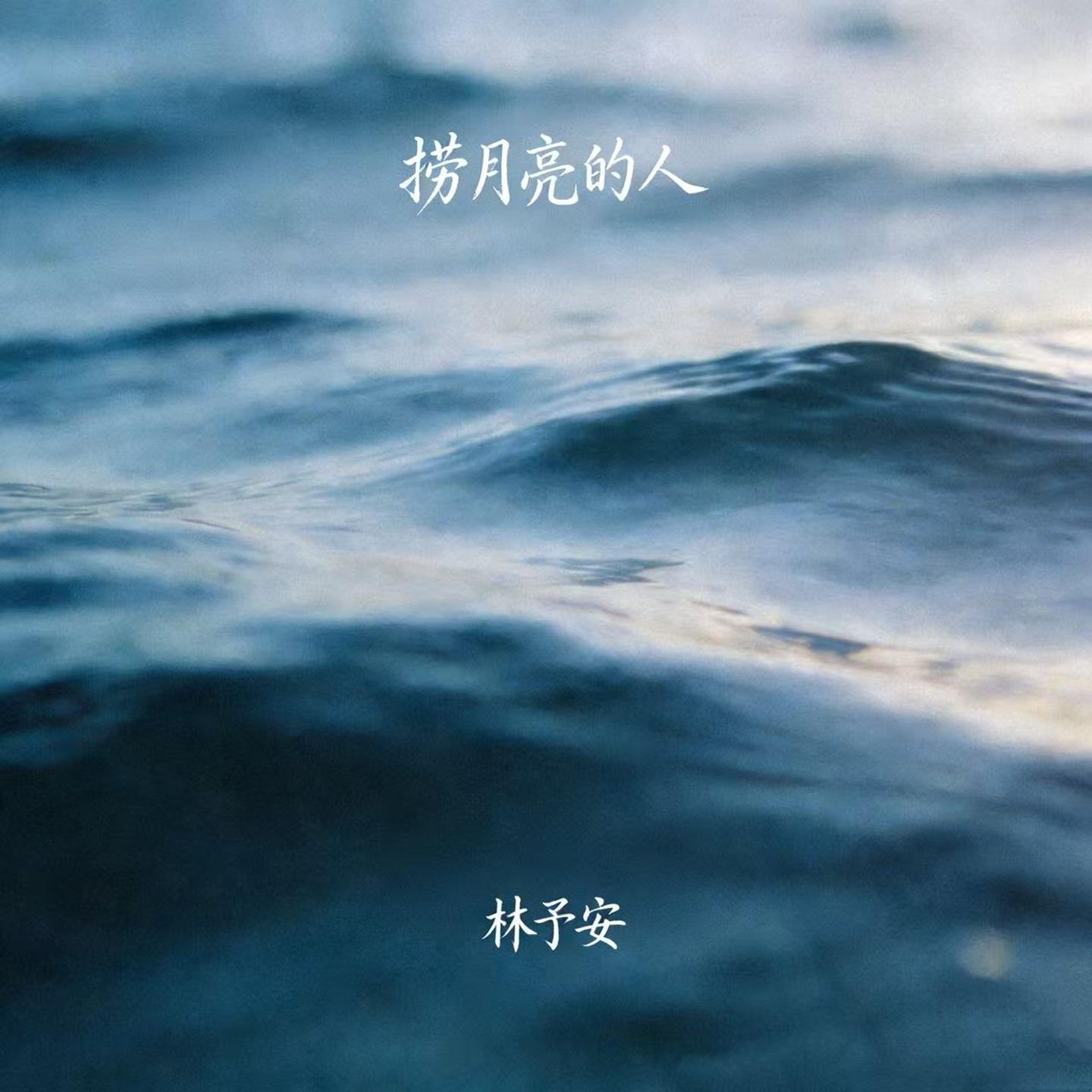捞月亮的人封面