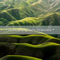 * brain wave naure collection *