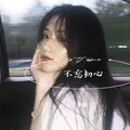 放荡不羁的感情 (DJ版)封面