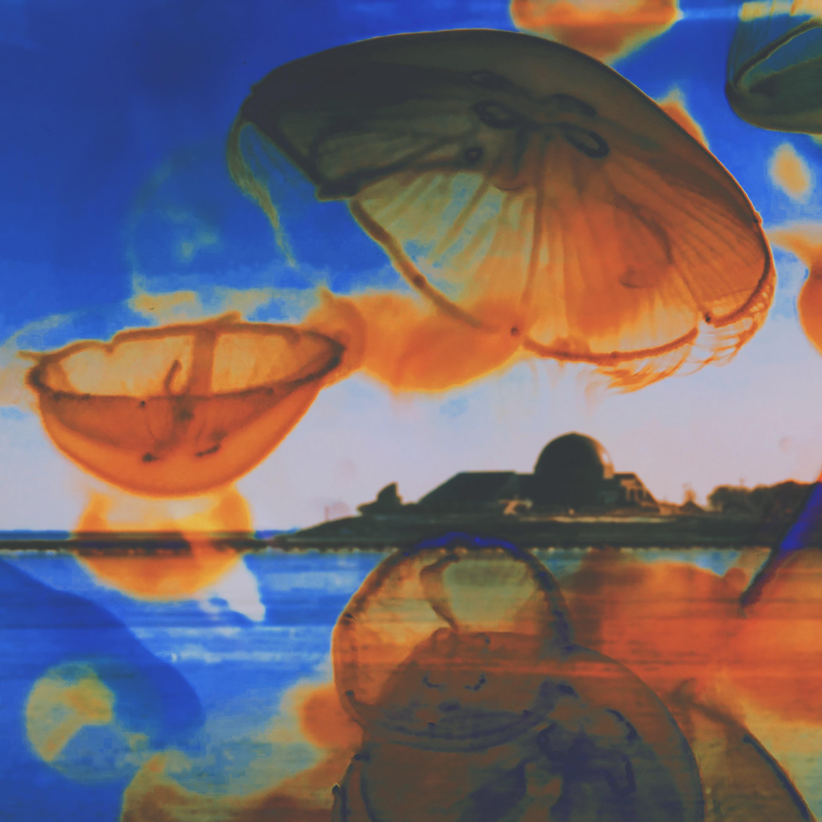 [又]迷失在关于你的一切里