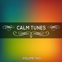 Calm Tunes, Vol. 02