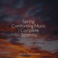 Spring Comforting Music | Complete Serenity