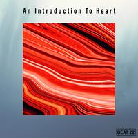 An Introduction To Heart Beat 22