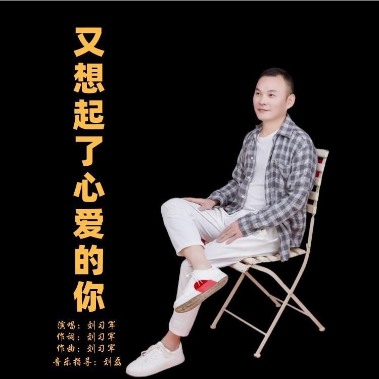 又想起了心爱的你 (和声版伴奏)封面