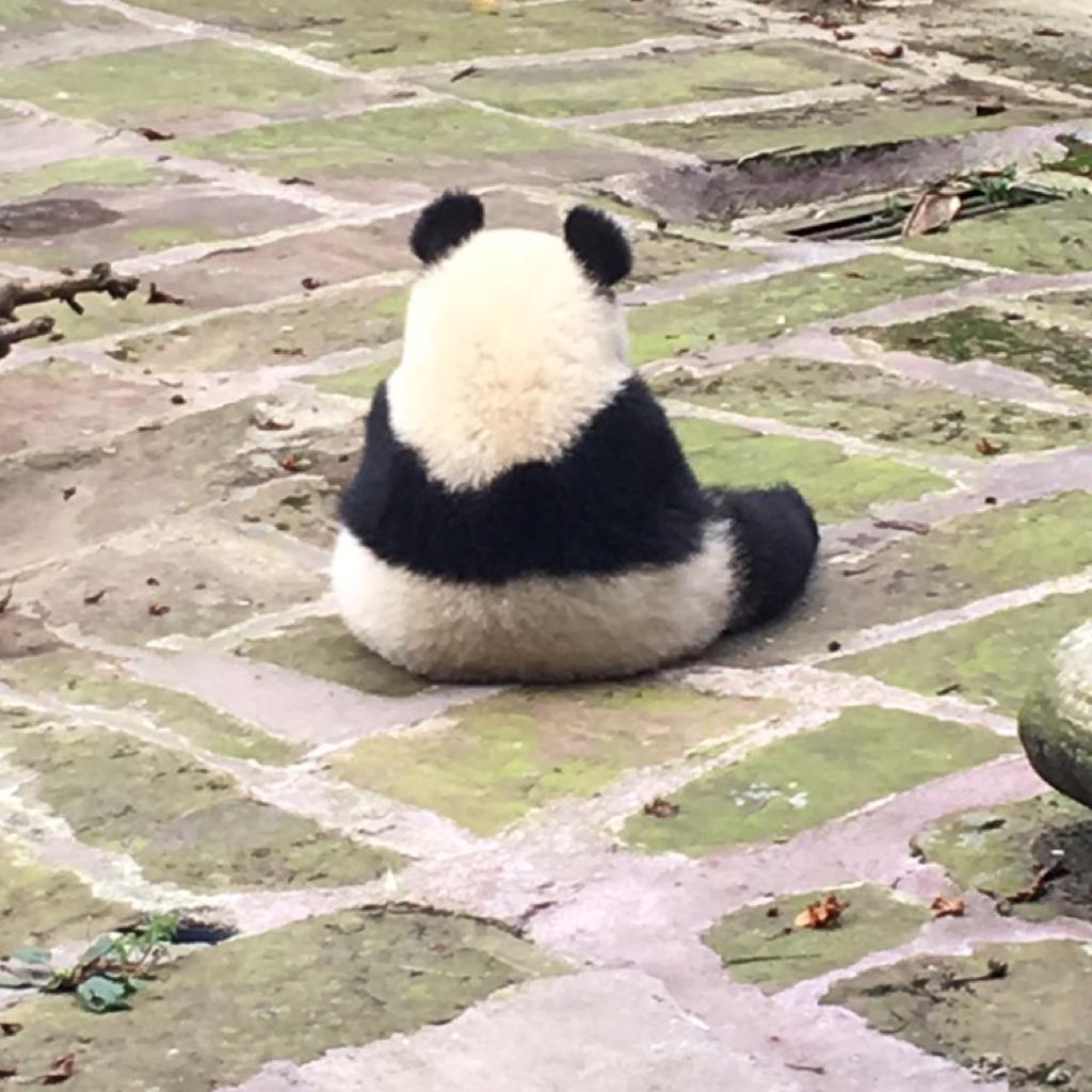 Scarllett_cinderella_the_Queen